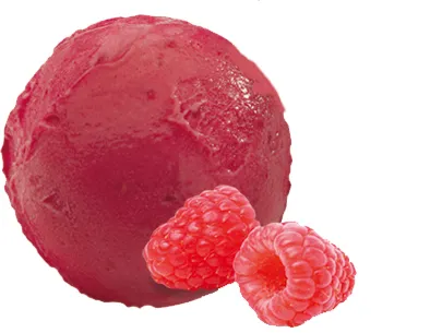Verdonck sorbet framboise caddy 2,5l x 2
