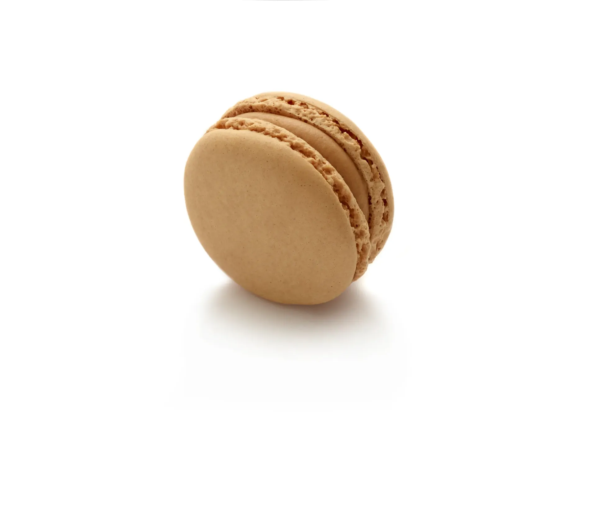 [5170217] Macarons caramel au beurre salé 70g x 24