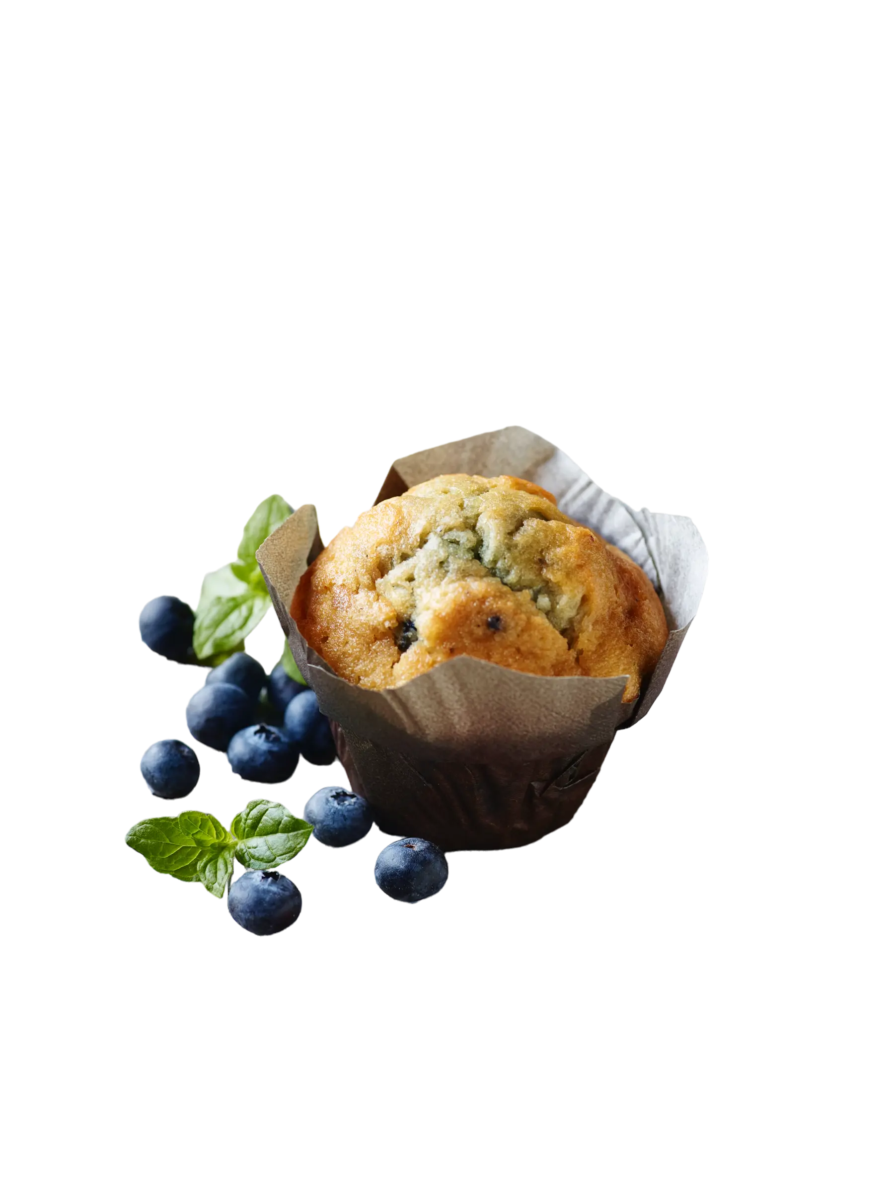 BAKERY Muffin blueberry vanille 100g x 24