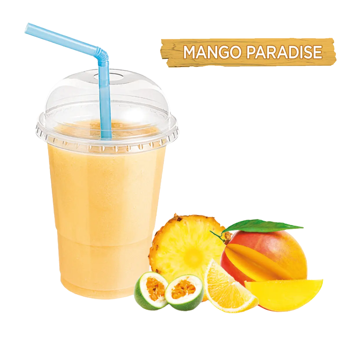 [497004] SMOOTHIE Mango paradise 150g x 15